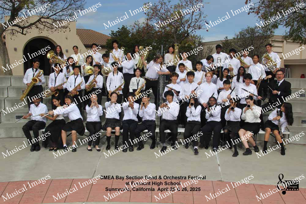 Musical Images